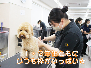 スキルアッププログラム♪
